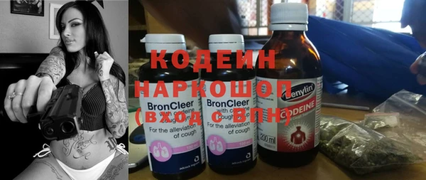 ешки Алзамай